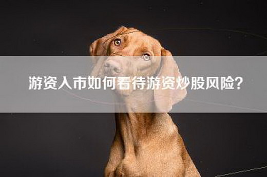 游资入市如何看待游资炒股风险？