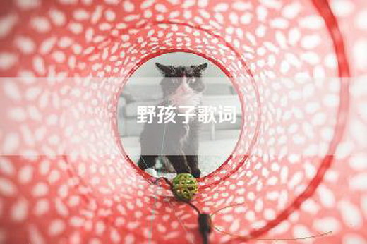 野孩子歌词
