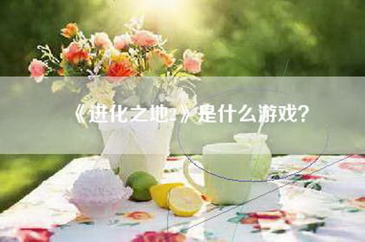 《进化之地2》是什么游戏？