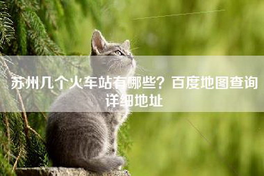 苏州几个火车站有哪些？百度地图查询详细地址