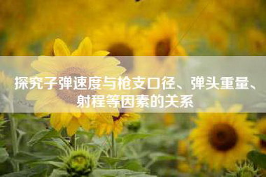 探究子弹速度与枪支口径、弹头重量、射程等因素的关系