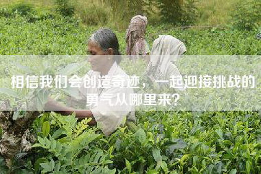 相信我们会创造奇迹，一起迎接挑战的勇气从哪里来？