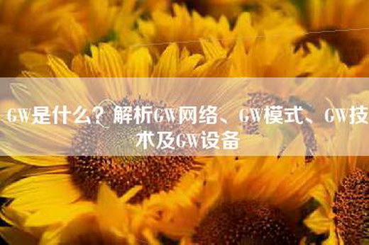GW是什么？解析GW网络、GW模式、GW技术及GW设备