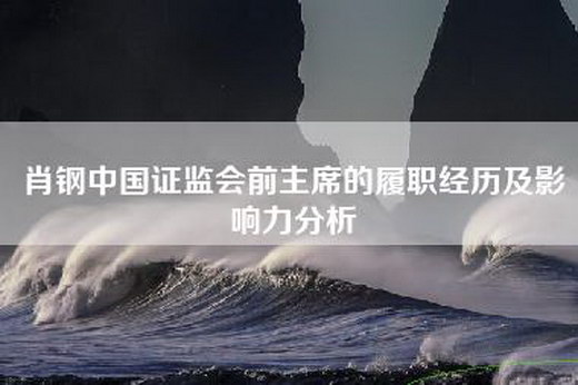 肖钢中国=前主席的履职经历及影响力分析