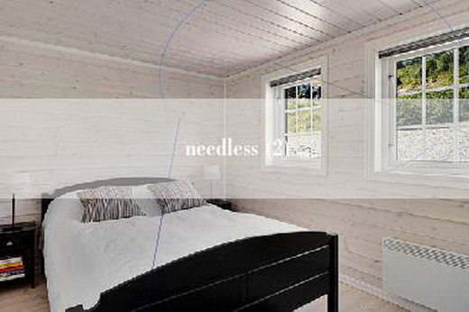 needless (2)
