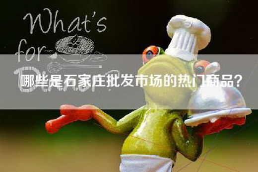 哪些是石家庄批发市场的热门商品？