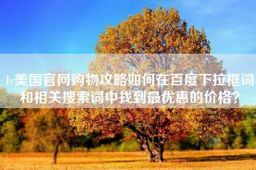 lv美国官网购物攻略如何在百度下拉框词和相关搜索词中找到最优惠的价格？