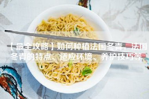 【最全攻略】如何种植法国冬青，法国冬青的特点、适应环境、养护技巧等