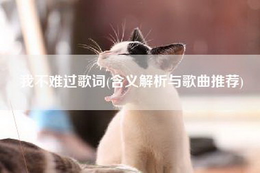 我不难过歌词(含义解析与歌曲推荐)