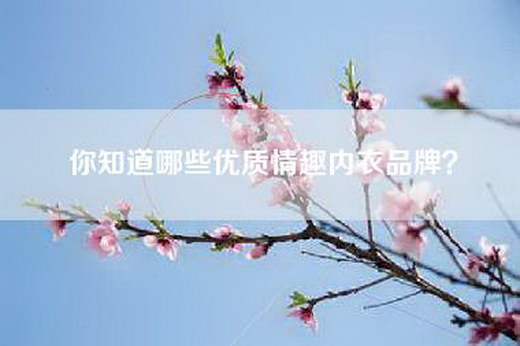 你知道哪些优质情趣内衣品牌？