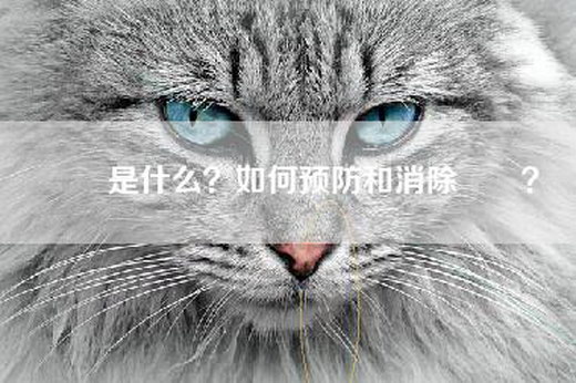 曱甴是什么？如何预防和消除曱甴？