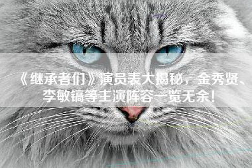 《继承者们》演员表大揭秘，金秀贤、李敏镐等主演阵容一览无余！