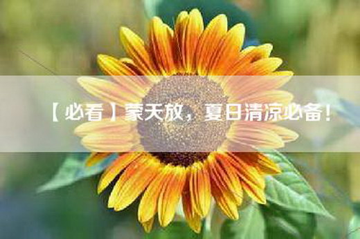 【必看】蒙天放，夏日清凉必备！