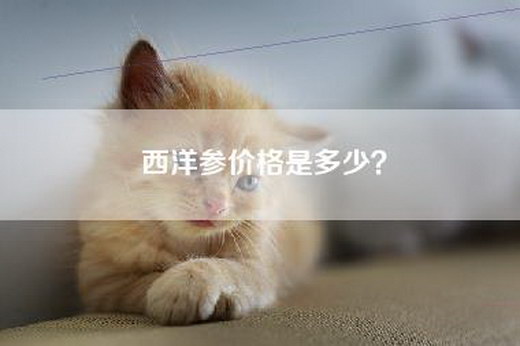 西洋参价格是多少？
