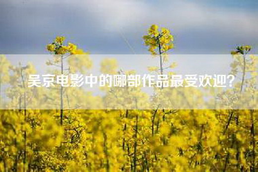吴京电影中的哪部作品最受欢迎？