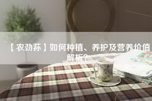 【农劲荪】如何种植、养护及营养价值解析？