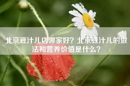 北京豆汁儿店哪家好？北京豆汁儿的做法和营养价值是什么？