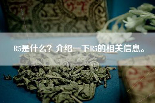 R5是什么？介绍一下R5的相关信息。