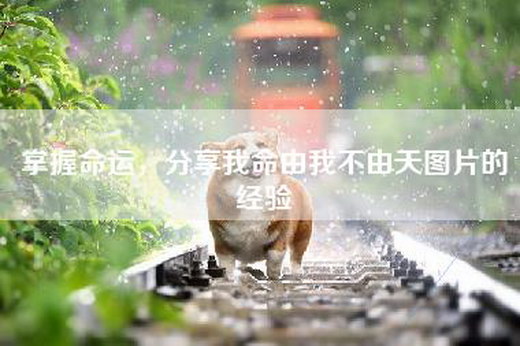 掌握命运，分享我命由我不由天图片的经验