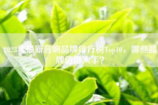 2023年最新音响品牌排行榜Top10，哪些品牌值得入手？