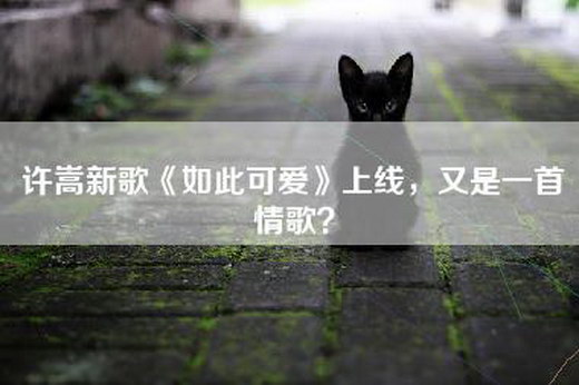 许嵩新歌《如此可爱》上线，又是一首情歌？