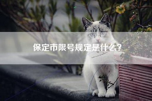 保定市限号规定是什么？