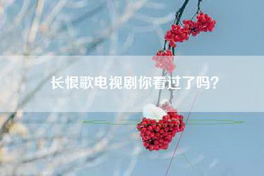 长恨歌电视剧你看过了吗？
