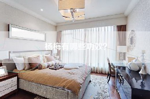 杨梅有哪些功效？