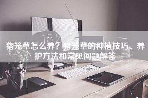 猪笼草怎么养？猪笼草的种植技巧、养护方法和常见问题解答