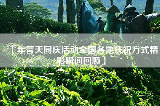 【年普天同庆活动全国各地庆祝方式精彩瞬间回顾】