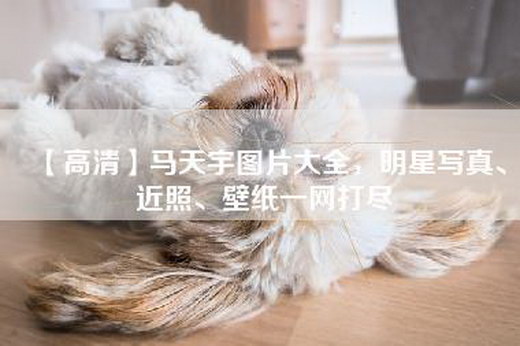 【高清】马天宇图片大全，明星写真、近照、壁纸一网打尽