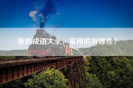 鱼的成语大全，常用的有哪些？