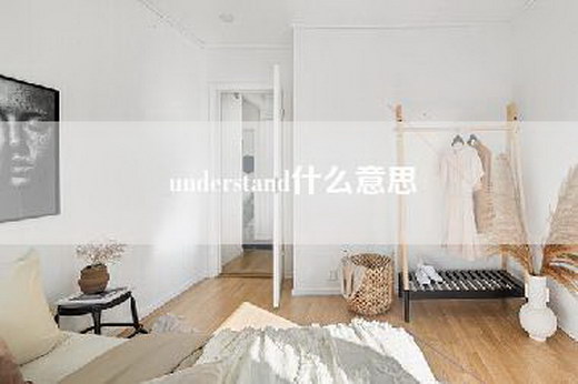 understand什么意思