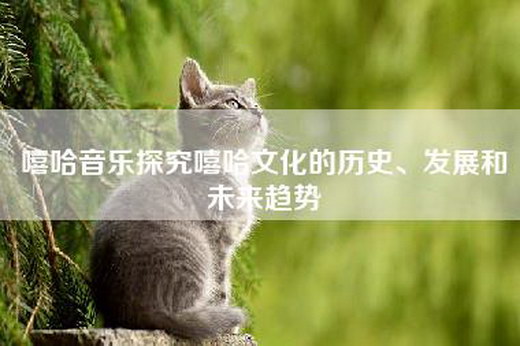 嘻哈音乐探究嘻哈文化的历史、发展和未来趋势