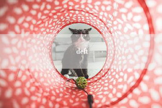 deft