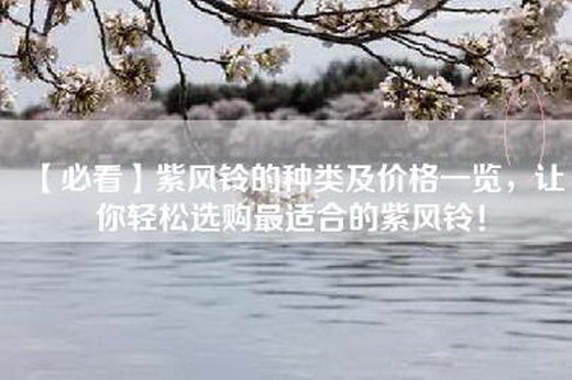 【必看】紫风铃的种类及价格一览，让你轻松选购最适合的紫风铃！
