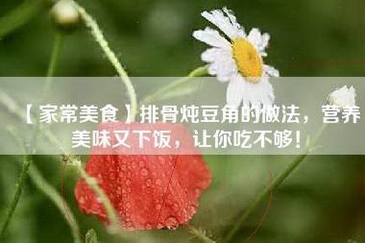 【家常美食】排骨炖豆角的做法，营养美味又下饭，让你吃不够！