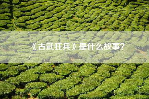 《古武狂兵》是什么故事？
