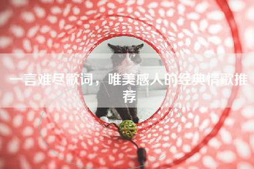 一言难尽歌词，唯美感人的经典情歌推荐