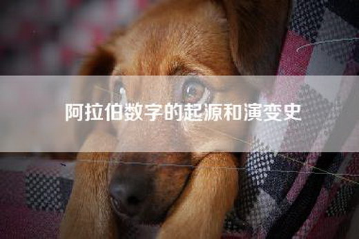 阿拉伯数字的起源和演变史