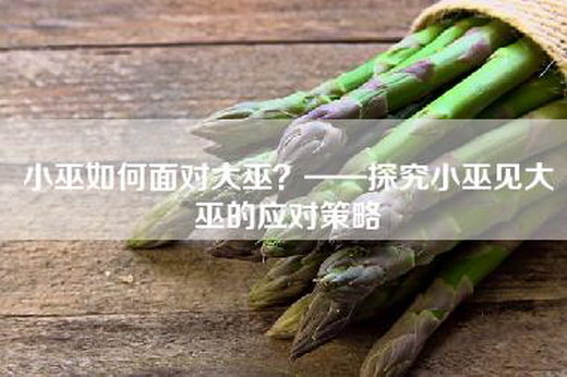 小巫如何面对大巫？——探究小巫见大巫的应对策略