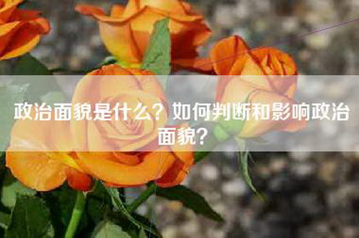 政治面貌是什么？如何判断和影响政治面貌？
