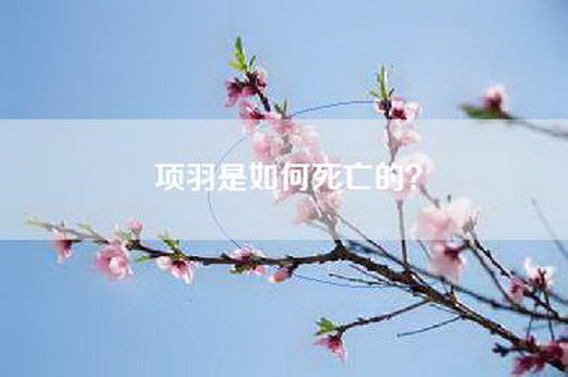 项羽是如何死亡的？