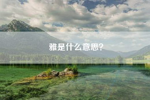 雅是什么意思？