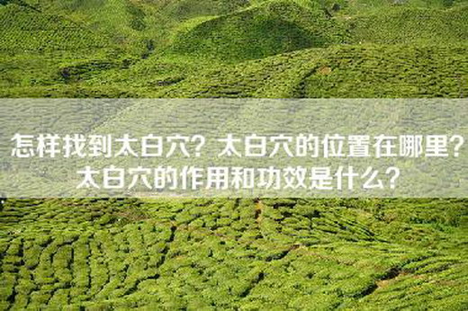 怎样找到太白穴？太白穴的位置在哪里？太白穴的作用和功效是什么？