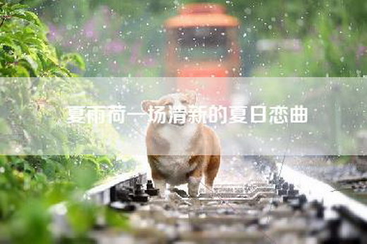 夏雨荷一场清新的夏日恋曲