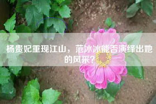 杨贵妃重现江山，范冰冰能否演绎出她的风采？