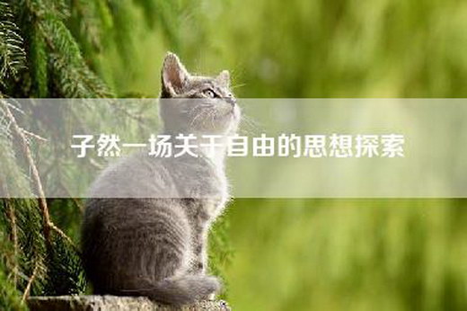子然一场关于自由的思想探索