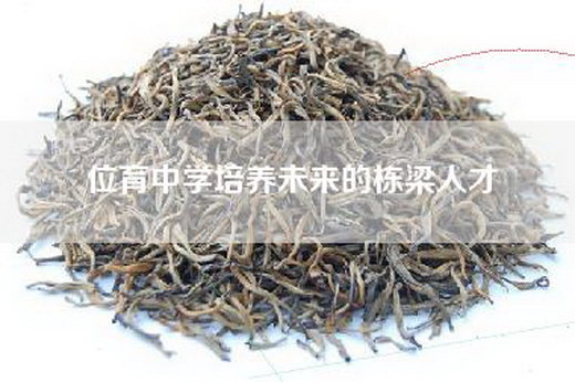 位育中学培养未来的栋梁人才