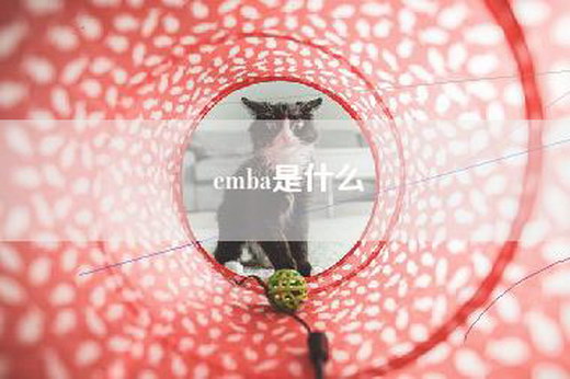 emba是什么